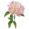 Diamond Dotz® Intermediate Pink Rose with Frame Diamond Painting Kit